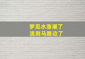 梦见水涨潮了 流到马路边了